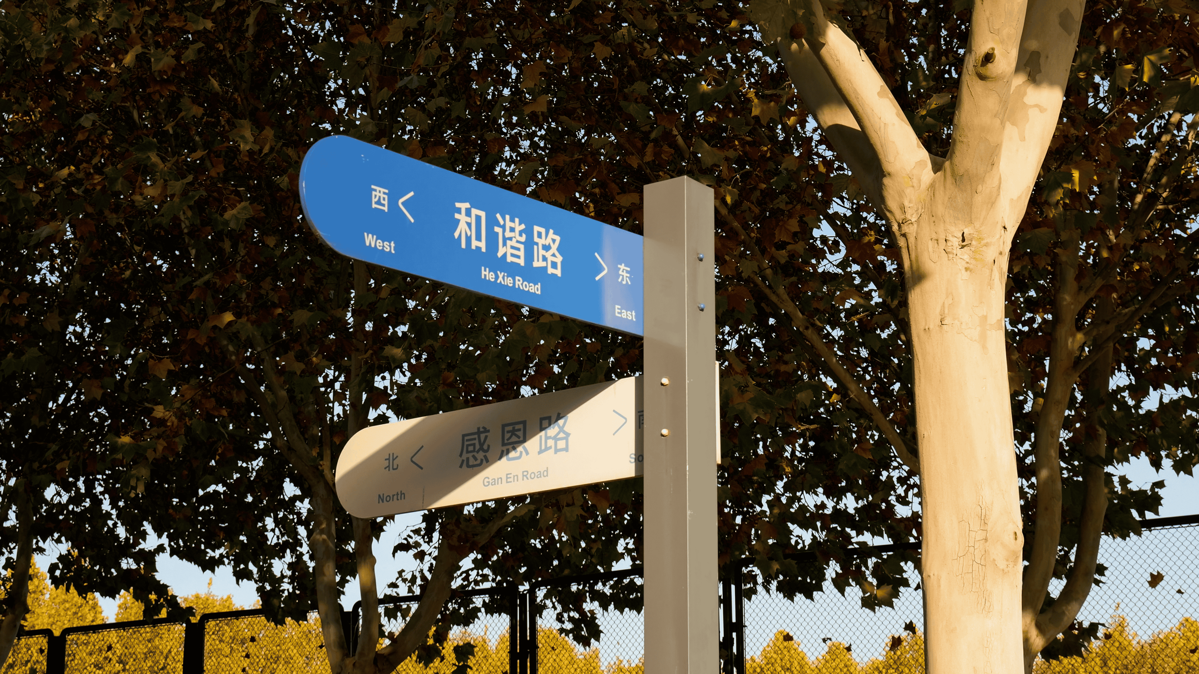 画廊作品 18